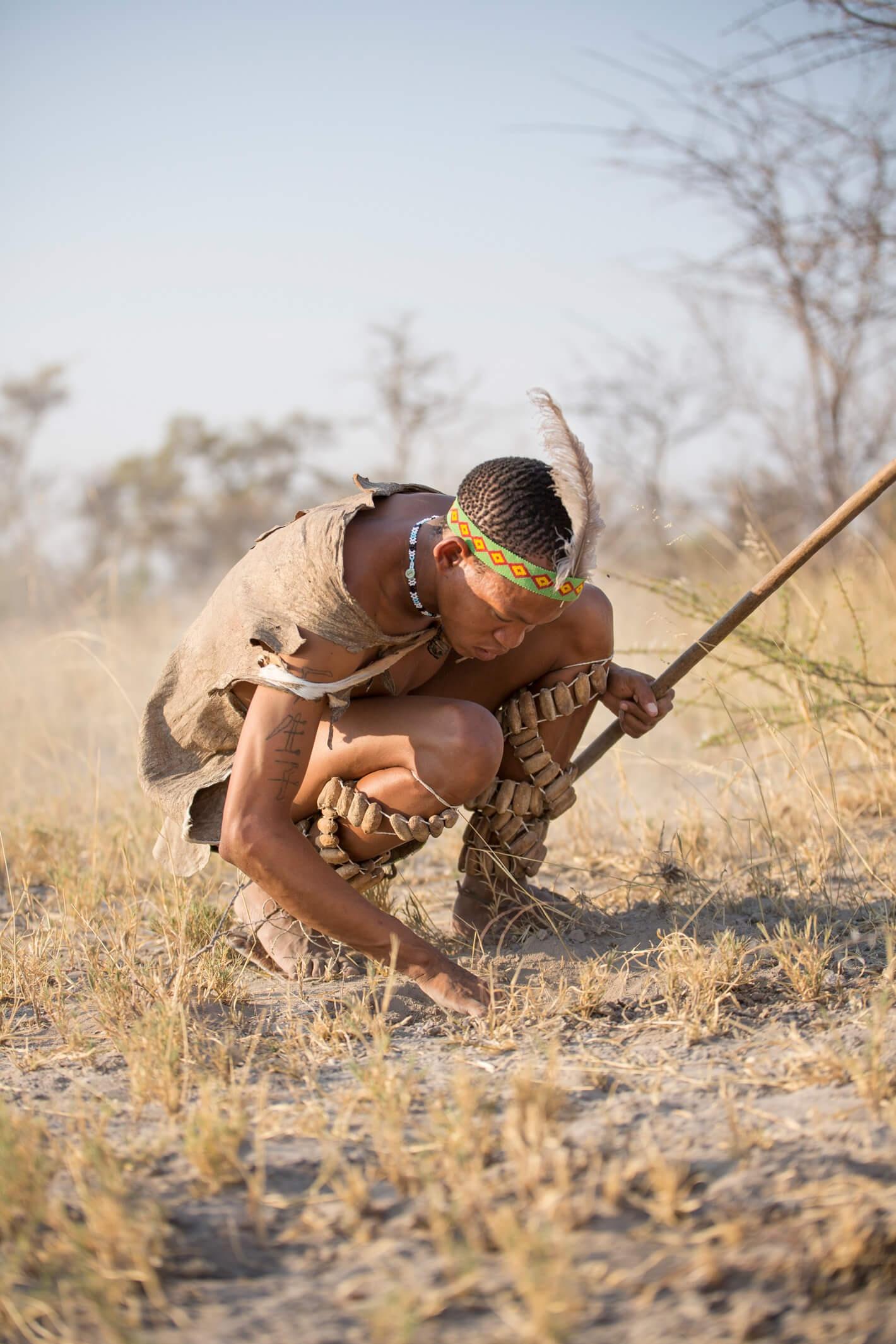 8-day-deadvlei-windhoek-okavango-delta-maun-journey-beyond-nature-safaris-8367018654