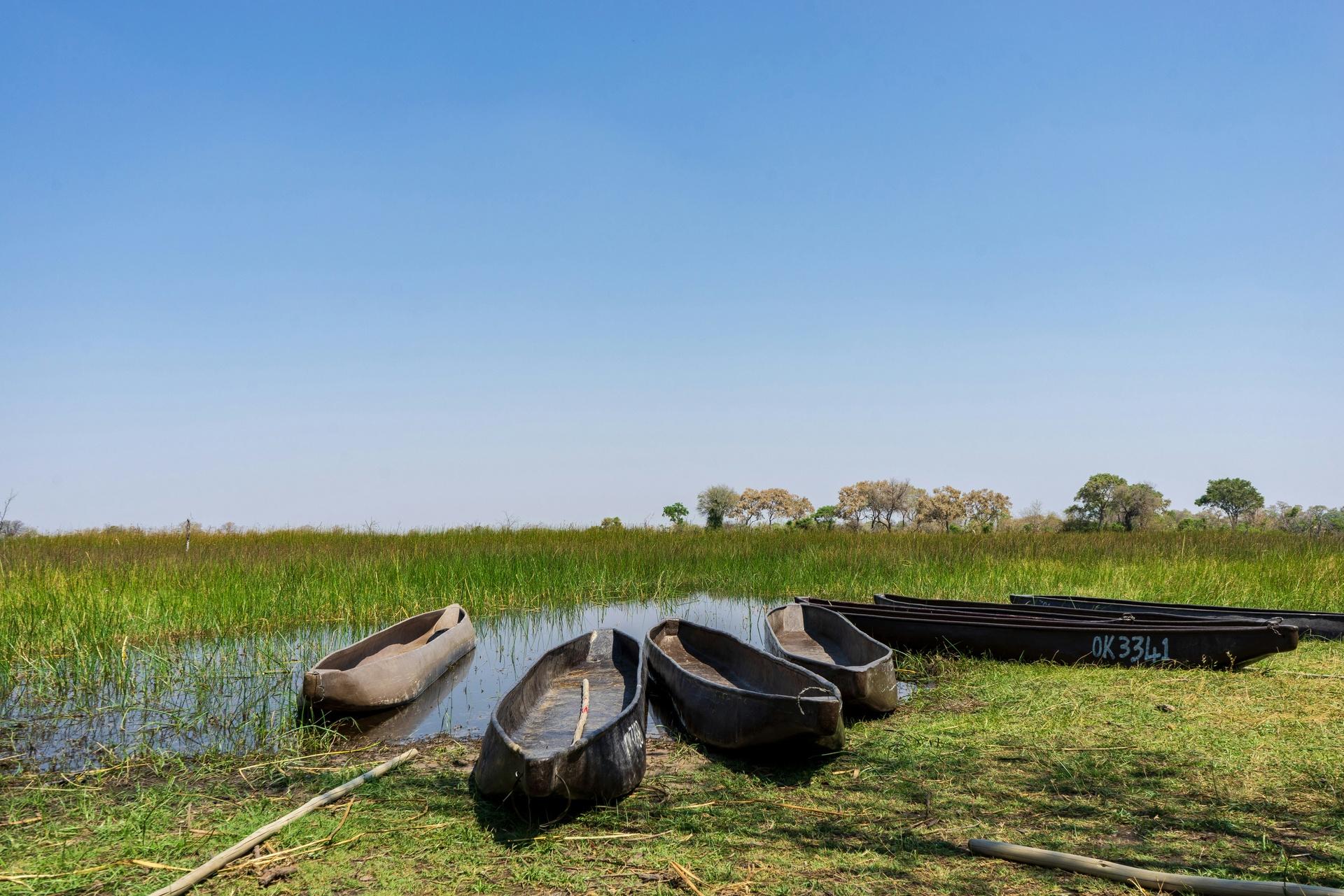 9-day-okavango-moremi-np-chobe-np-elephant-sands-victoria-falls-journey-beyond-nature-safaris-9071118314