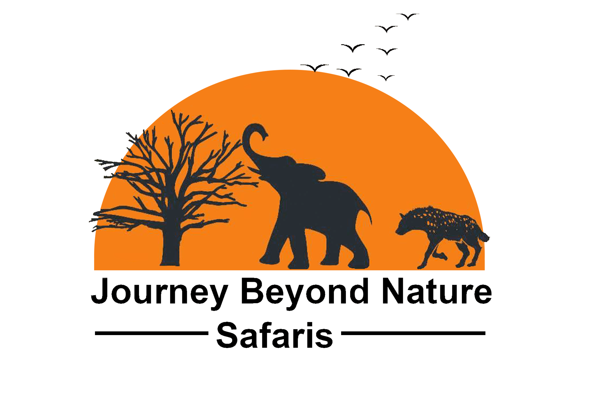 jbn-safari-logo